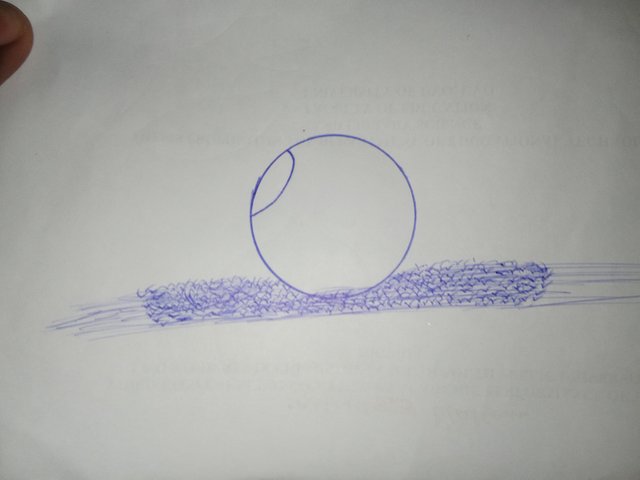 1000445595.jpg