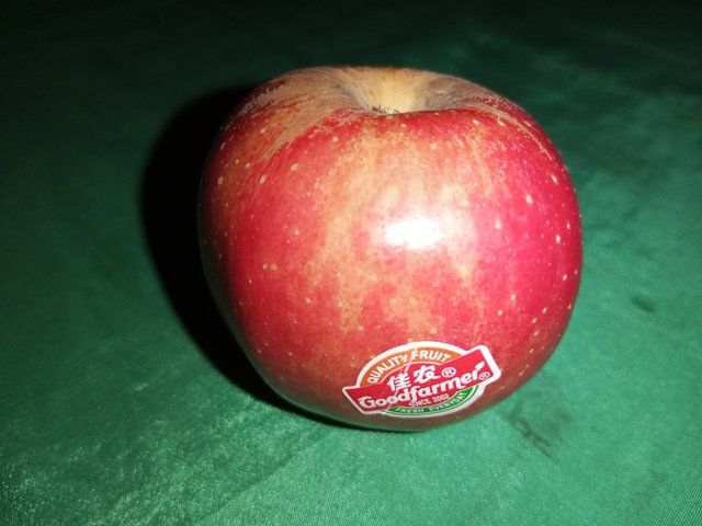 IMG_20240924_193627_221.jpg