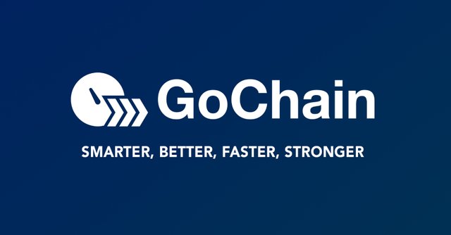 gochain head.jpg