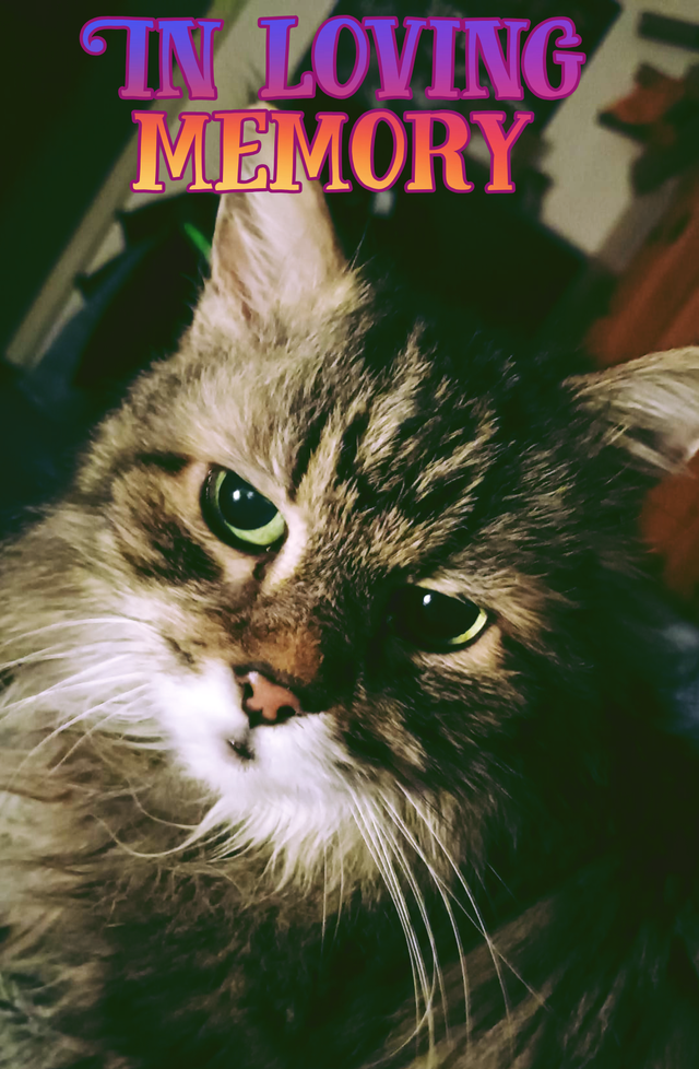 1000024453.png