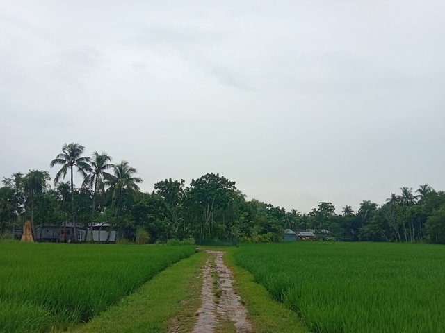 IMG_20250915_185026.jpg