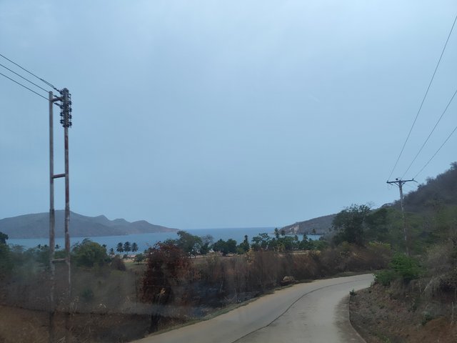 IMG_20250416_111308.jpg