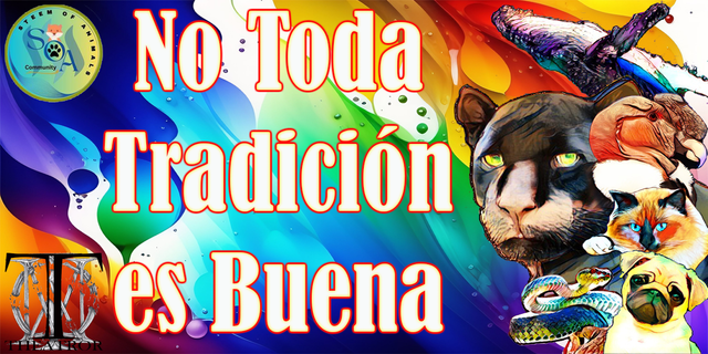 01 Portada publicaciones de la comunidad.png