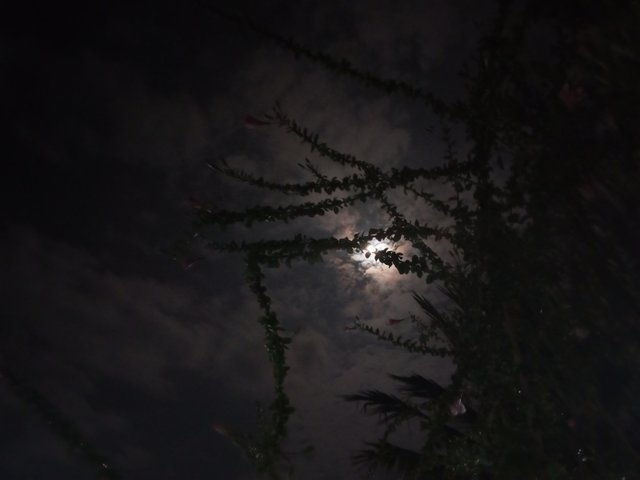 IMG_20250709_210050_885.jpg