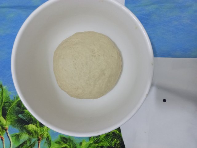 IMG_20250811_163827_160.jpg