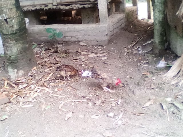 20250702_191645.jpg