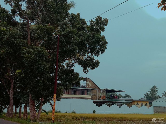 Restaurant Building From the Outside 2.jpg