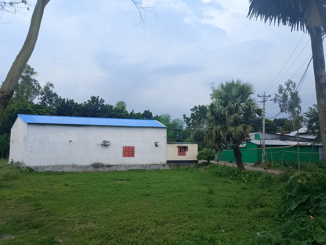1000050268.jpg