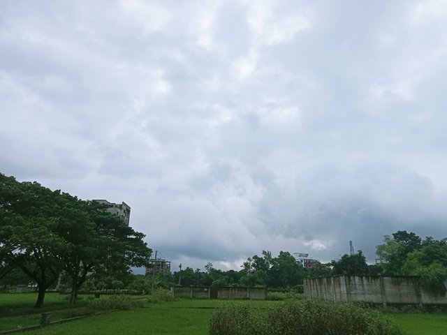 1000265659.jpg
