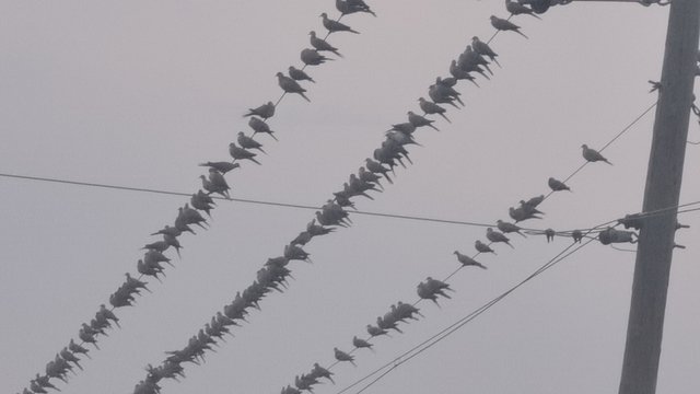 IMG_20240907_173146.jpg