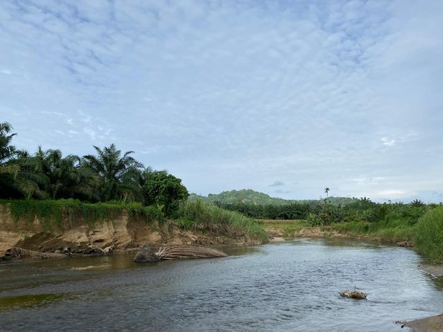 1000319158.jpg