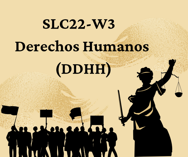 SLC22-W3 _ Derechos Humanos (DDHH)_20250102_170037_0000.png