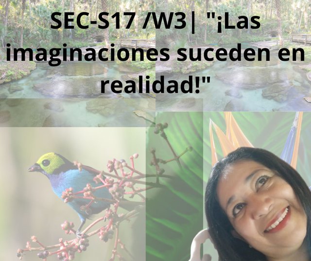 SEC-S17 W3 ¡Las imaginaciones suceden en realidad!.jpg