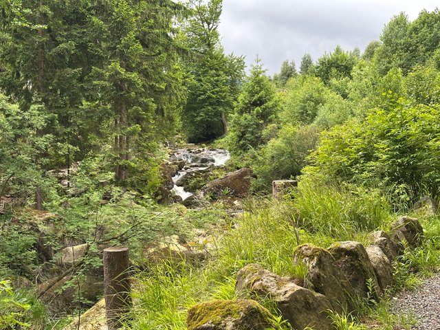 IMG_9644.jpeg