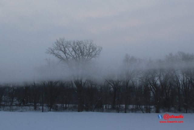 photography landscapephotography snow winter fog SN-005.jpg