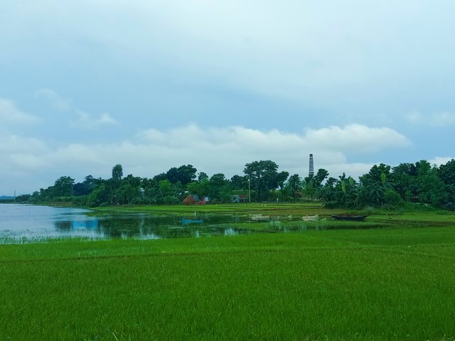 IMG_20250802_084108.jpg