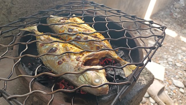 IMG20250928110243.jpg