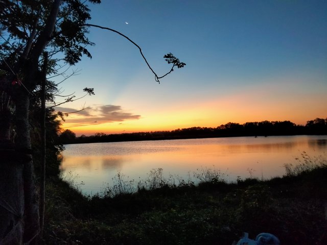 IMG20250302190206.jpg
