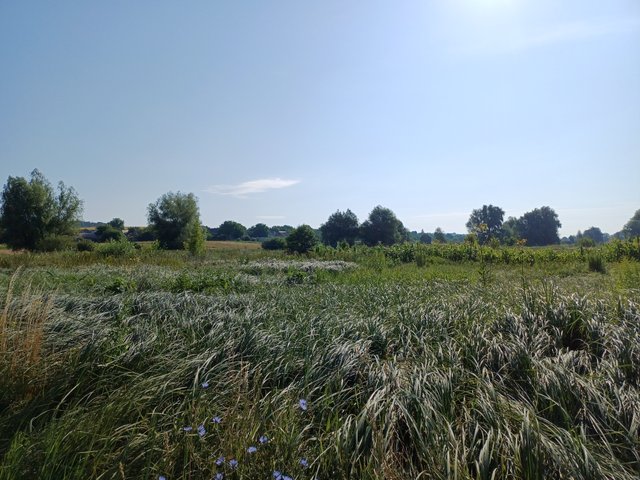 20250720_083255.jpg