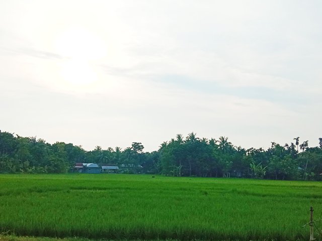 IMG_20250923_075125.jpg