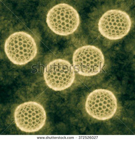 Zika Virus 2.jpg