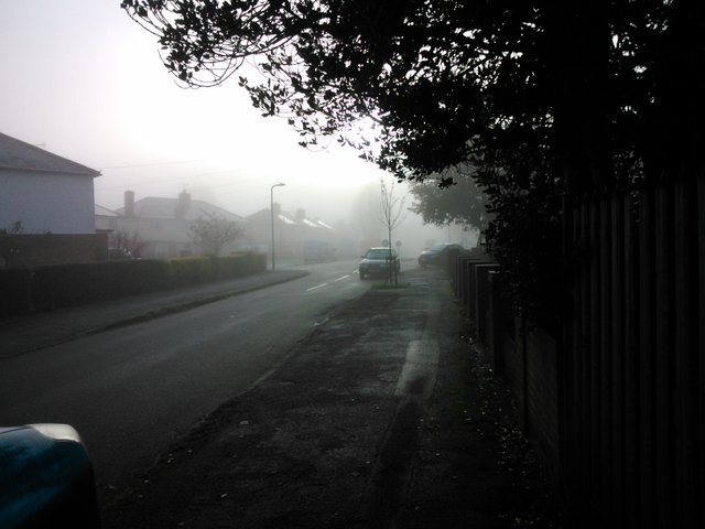 fog street.jpg