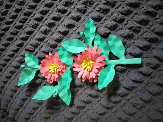 20250529_125919.jpg