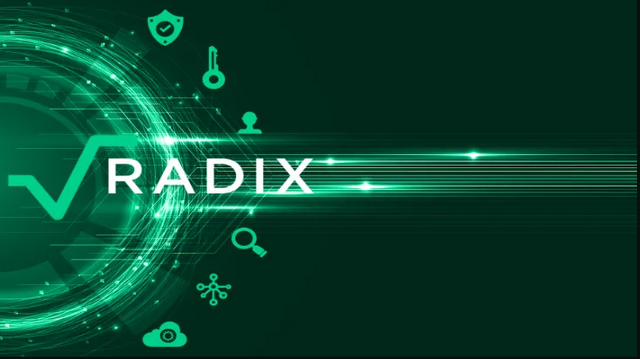 radix new.PNG