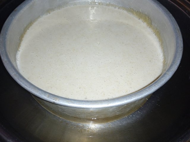 IMG_20251005_115145.jpg