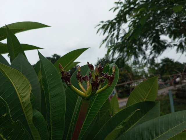 IMG_20250909_131201_240.jpg