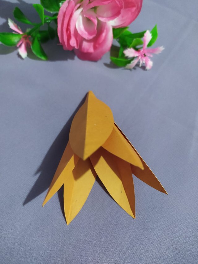 1000015700.jpg