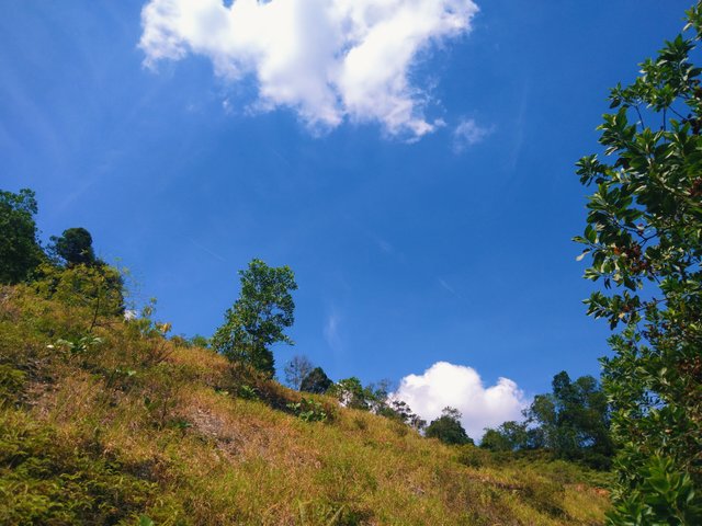 IMG_20250612_143746.jpg