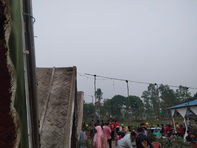 IMG20250401175312.jpg