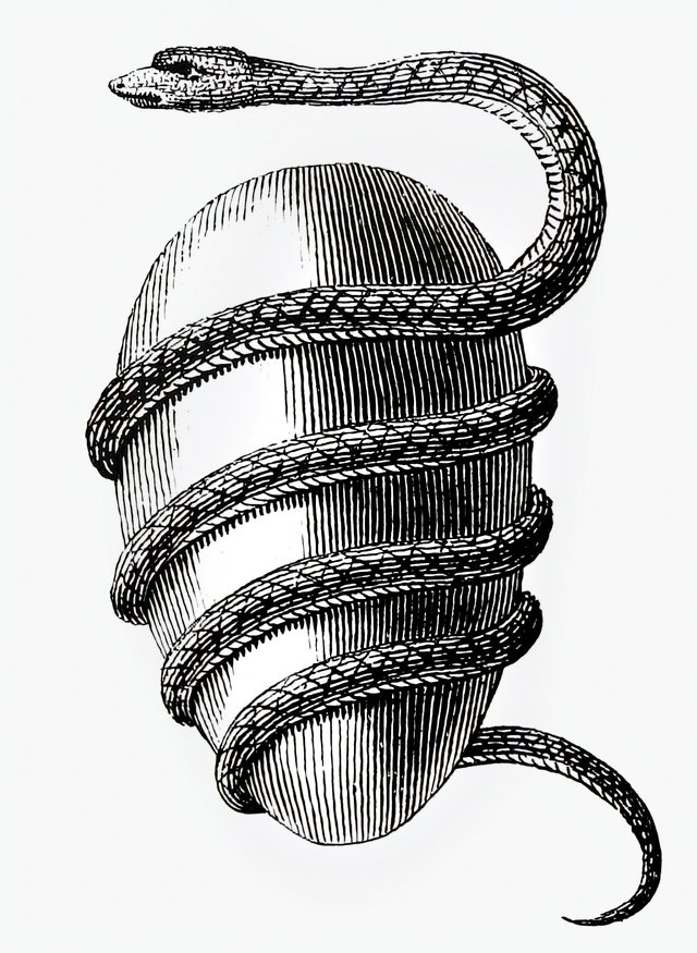 b43fedea-0376-4bdb-9b87-4b0fb78c6f78-1_all_6931.jpg