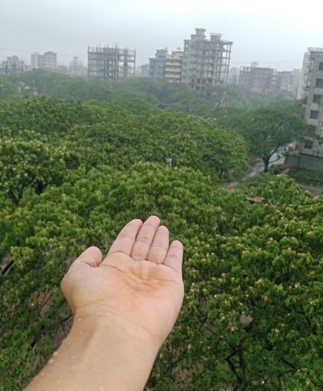 1000156986.jpg