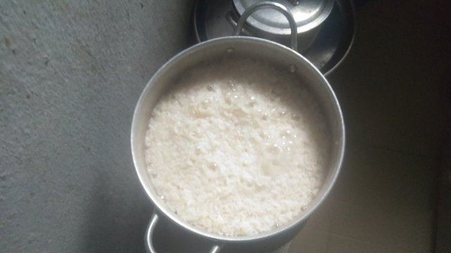 IMG20250615161544.jpg