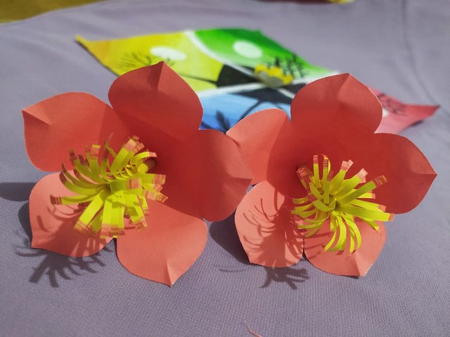 1000015179.jpg