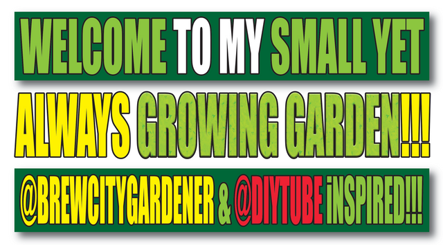 My Small Little Garden Inspired by Brew City Gardner and DIYTube.png
