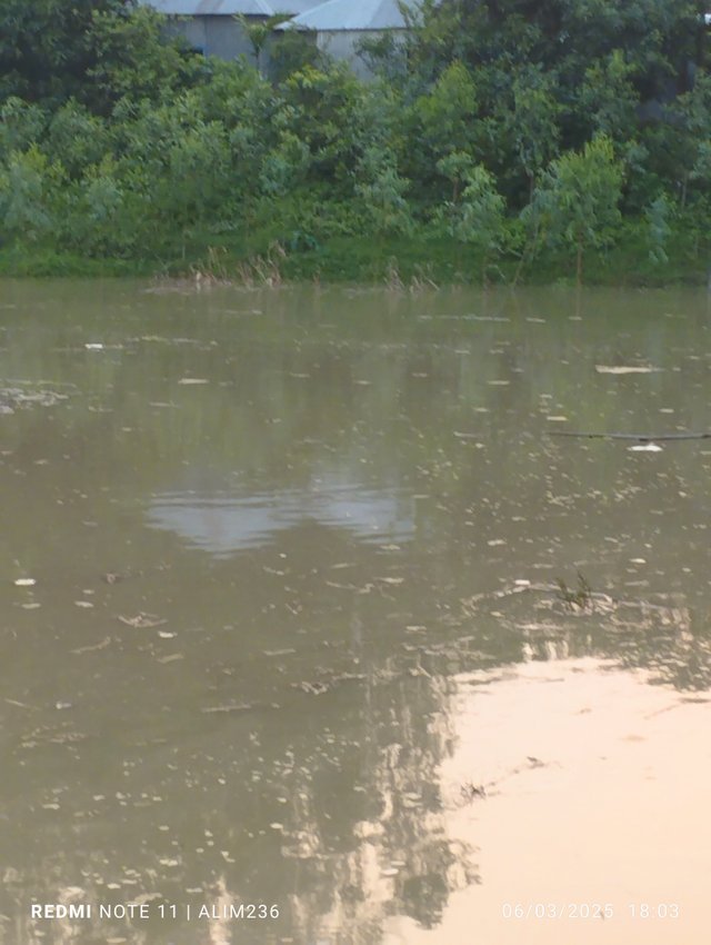 IMG_20250603_180318.jpg