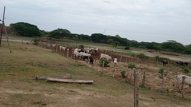 IMG_20250405_091816.jpg