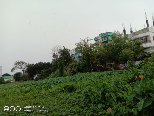 IMG_20250715_155710.jpg