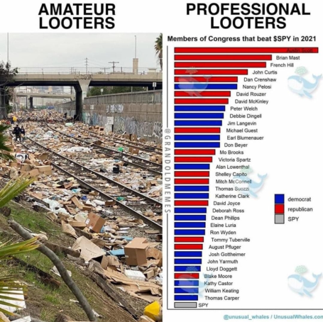 amateurs-vs-profesionals-looters.png