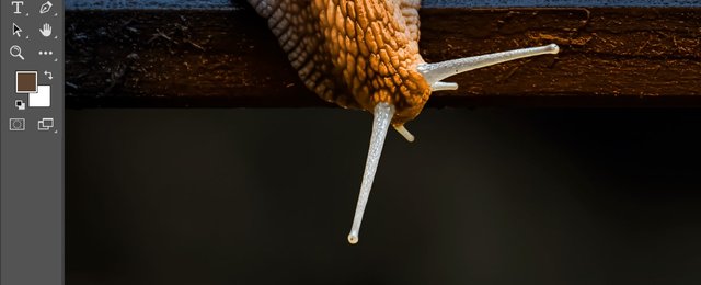 Screenshot 2024-11-10 193506.jpg