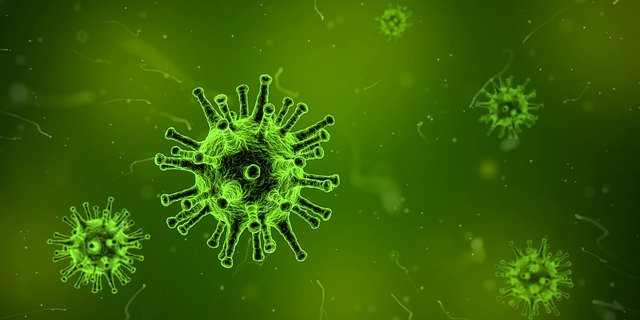 scientists-discover-new-virus-killing-protein-to-destroy-viruses-related-to-hiv.jpg