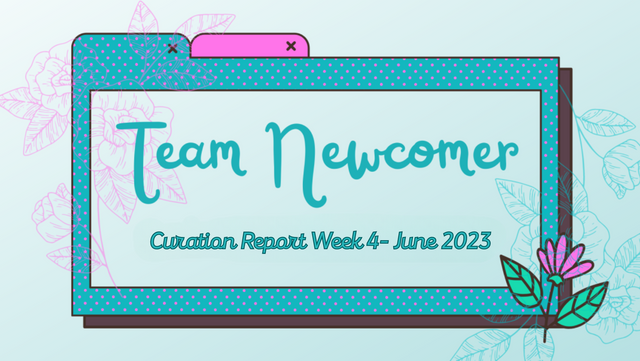 Team Newcomer week4.png
