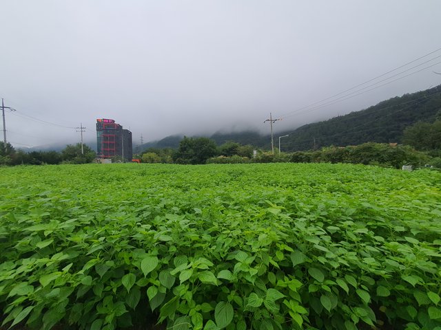 20250908_065645.jpg