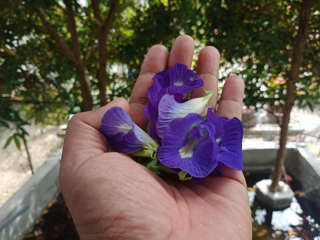 IMG20250609094834.jpg