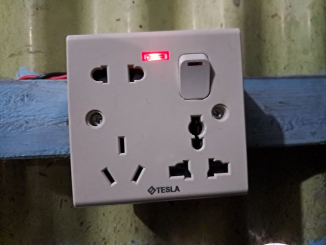 1000008666.jpg
