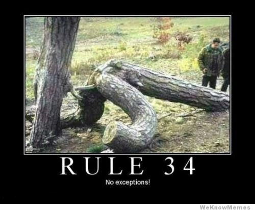 rule 34.jpg