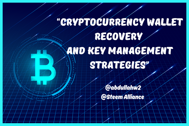 _Cryptocurrency Wallet Recovery And Key Management Strategies__20240512_112221_0000.png